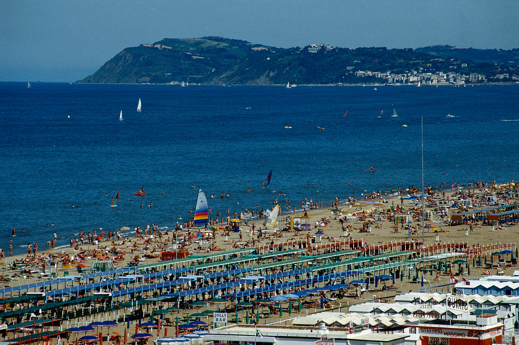 Norvegia ed Emilia Romagna, la regione più pet friendly in Italia